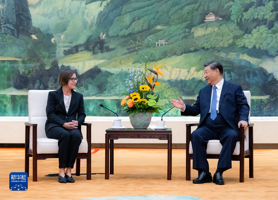 ”习近平会见红十字国际委员会主席斯波利亚里茨”